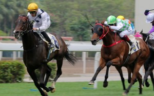 Golden Sixty dashes clear to win at Sha Tin this season. Photos: Kenneth Chan