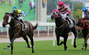 Enjoying (pink and grey silks) runs third at Sha Tin on January 5. Photos: