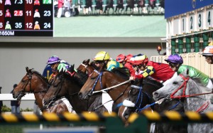 Horses jump from the gates at Happy Valley on Wednesday night. Photos: Kenneth Chan