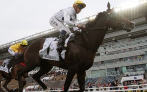 Golden Sixty wins the Classic Mile under jockey Vincent Ho at Sha Tin last month. Photo: Kenneth Chan