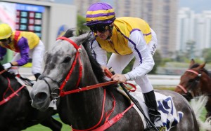 Zac Purton partners El Jefe to victory at Sha Tin on Saturday. Photos: Kenneth Chan