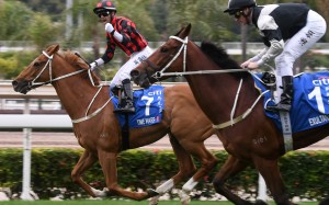 Exultant (right) is beaten home by Time Warp at Sha Tin on Sunday. Photos: Kenneth Chan