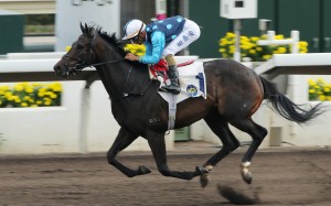 Will Power hits the line under Karis Teetan to win in January. Photos: Kenneth Chan