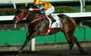 Big Time Baby dashes clear under jockey Matthew Chadwick to win at Sha Tin on Wednesday night. Photos: Kenneth Chan
