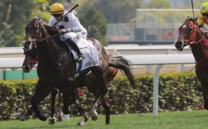Golden Sixty bolts clear of his rivals at Sha Tin to win the Classic Cup. Photos: Kenneth Chan