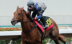 Aethero wins his all-weather trial at Sha Tin on Tuesday morning. Photos: Kenneth Chan