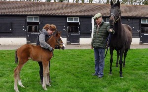 Ka Ying Star's brother with mother Casual Glance and Peter Stanley. Photo: New England Stud.