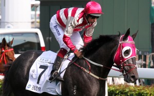 Hugh Bowman returns to scale aboard Enjoying after finishing fourth in the Classic Cup. Photos: Kenneth Chan