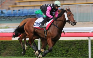 Beauty Generation wins a trial under Zac Purton at Sha Tin on Tuesday morning. Photos: Kenneth Chan