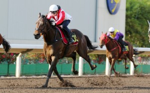 Thinkin’ Big trials at Sha Tin earlier this month. Photos: Kenneth Chan