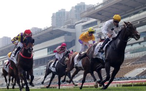 Golden Sixty, Champion’s Way and More Than This battle out the Classic Cup last month. Photos: Kenneth Chan