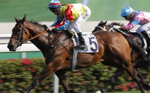 Zac Purton cruises to victory on Wellington at Sha Tin yesterday. Photos: Kenneth Chan