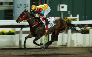 Big Time Baby wins at Sha Tin in February. Photos: Kenneth Chan