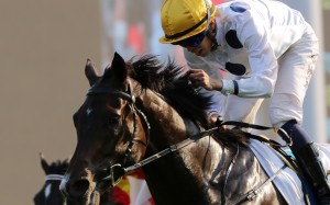 Vincent Ho crosses the line to win the BMW Hong Kong Derby at Sha Tin on Sunday. Photos: Kenneth Chan
