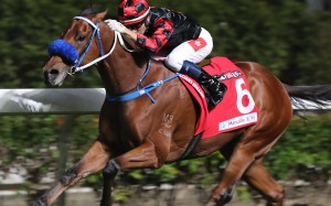 Dancing Fighter kicks clear to win at Happy Valley in December. Photos: Kenneth Chan