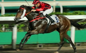 Kings Shield wins easily at Sha Tin last season. Photos: Kenneth Chan
