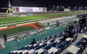 Horses race in front of a sparse Sha Tin on Wednesday night. Photos: Kenneth Chan