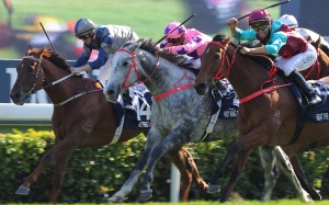 Aethero (inside) is narrowly beaten in the Hong Kong Sprint by Hot King Prawn and Beat The Clock. Photos: Kenneth Chan
