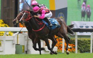 Waikuku wins the Group One Stewards' Cup in January. Photos: Kenneth Chan