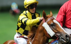 Zac Purton gives Stronger a pat after his track record in February. Photos: Kenneth Chan