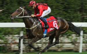 Private Secretary salutes at Happy Valley in December. Photos: Kenneth Chan