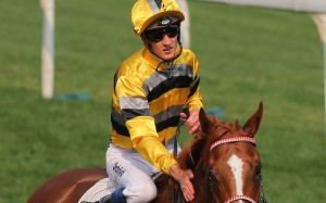 Chad Schofield gives Team Power a pat after their victory at Sha Tin on Sunday. Photos: Kenneth Chan