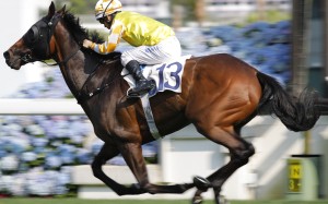 London Hall salutes at Sha Tin last month. Photos: Kenneth Chan