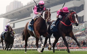 Waikuku (outside) gets the better of Beauty Generation in the Group One Stewards’ Cup earlier this year. Photos: Kenneth Chan