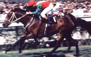 Super Win salutes at Happy Valley in the 1970s. Photo: Racing World