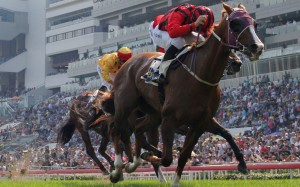 Eagle Way wins the Queen Mother Memorial Cup (2,400m) at Sha Tin in 2017. Photos: Kenneth Chan