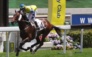Chefano coasts home to win the Queen Mother Memorial Cup at Sha Tin on Sunday. Photos: Kenneth Chan