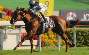 Aethero wins the Jockey Club Sprint at Sha Tin in November. Photos: Kenneth Chan