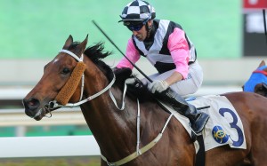 Neil Callan boots home a winner at Sha Tin on the weekend. Photos: Kenneth Chan