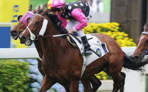 Beauty Generation wins at Sha Tin this season. Photos: Kenneth Chan