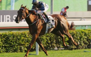 Aethero storms to victory at Sha Tin. Photos: Kenneth Chan