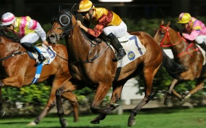 Joao Moreira guides Simply Fluke to victory at Happy Valley last month. Photos: Kenneth Chan