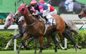 Thanks Forever takes out the Sha Tin Vase on Sunday. Photos: Kenneth Chan