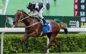Exultant takes out the Champions & Chater Cup on May 24. Photo: Kenneth Chan