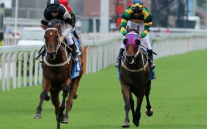 Furore (right) finishes third in last month’s Group One Champions & Chater Cup. Photos: Kenneth Chan