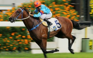 Dances With Dragon bolts in under Keith Yeung at Sha Tin on Sunday. Photos: Kenneth Chan