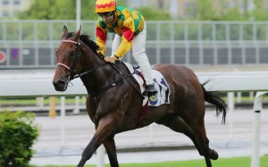 Mighty Valor trots in comfortably earlier this month at Sha Tin. Photos: Kenneth Chan