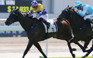 Easy Go Easy Win holds on to win in December under Alexis Badel. Photos: Kenneth Chan