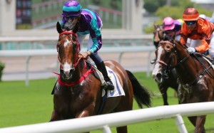 Winning Dreamer surges to victory at Sha Tin in May. Photos: Kenneth Chan