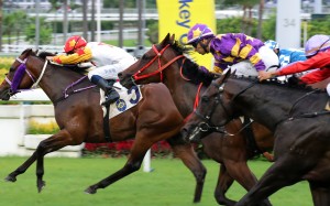 Lucky Express (middle) and Armando (right) finish behind Mr Croissant on debut. Photos: Kenneth Chan