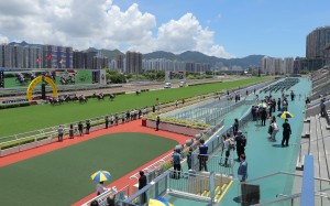 Horses compete at Sha Tin on Sunday in front of largely empty grandstands. Photos: Kenneth Chan