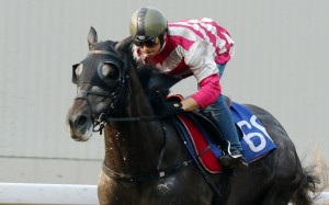 Enjoying trials at Sha Tin last week. Photos: Kenneth Chan