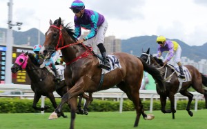 Winning Dreamer coasts to victory under Vincent Ho at Sha Tin last season. Photos: Kenneth Chan
