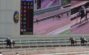 Joao Moreira drives Skyey Supreme to victory on the all-weather track at Sha Tin on Sunday. Photos: Kenneth Chan