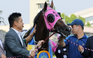 Patrick Kwok gives Beauty Generation a pat after winning the 2019 Celebration Cup. Photos: Kenneth Chan