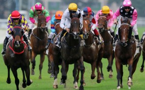 Beauty Generation (right) finishes in a dead-heat for second with Champion’s Way (left) behind Celebration Cup winner Golden Sixty (middle). Photo: Kenneth Chan